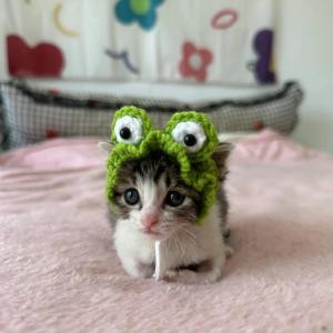 Ильнар Шайхельиманов