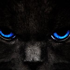 Gxt