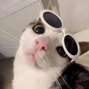 cool guy